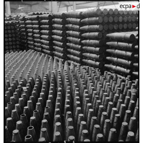 Plan général d'obus alignés et rangés.