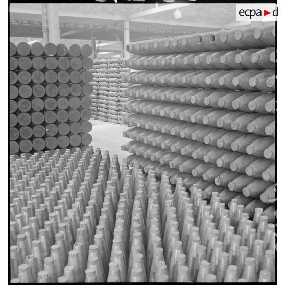 Plan général d'obus alignés et rangés.