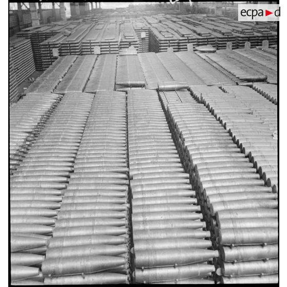 Plan général d'obus alignés et rangés.