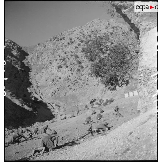 Sur le champ de tir des jeunes recrues du 1er RTA s'entraînent à ramper.