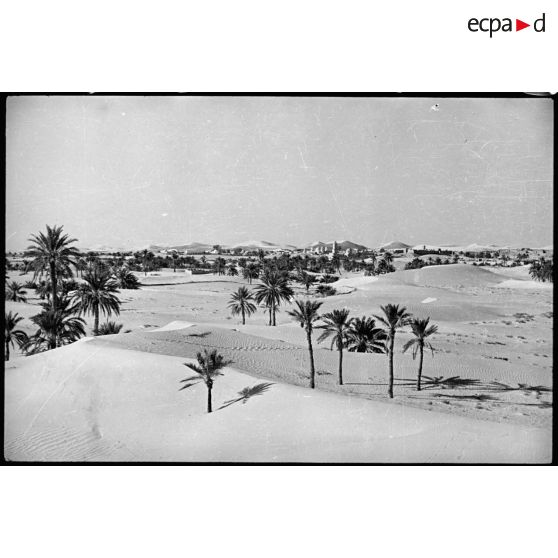 Plan d'ensemble de l'oasis d'El Oued.