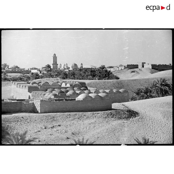 Plan d'ensemble de l'oasis d'El Oued.