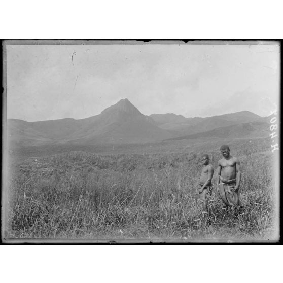 De Mbureku à Poala, altitude 1800 m environ. Massif et pic du Manengouba. [légende d'origine]