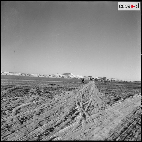 Les environs de Touggourt. Au fond les dunes.
