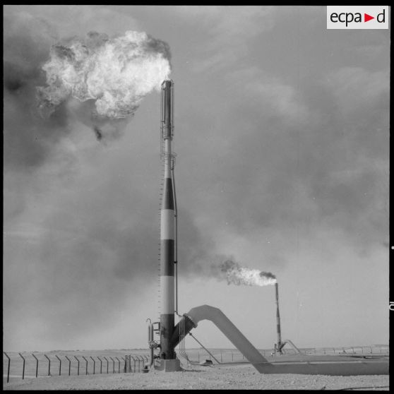 Hassi Messaoud. Torchères.