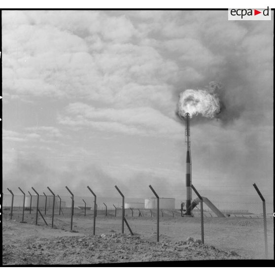 Hassi Messaoud. Torchères.