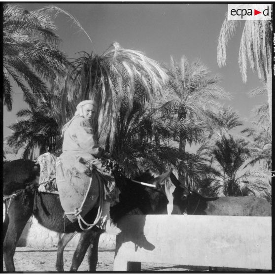 Touggourt. L'abreuvoir public.