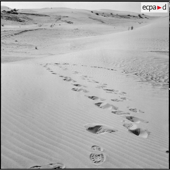 Zone est du Sahara (ZES). Traces de pas dans le sable.