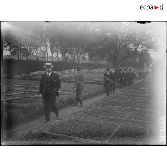 Versailles, M Clementel et Victor Boret visite la pépinnière nationale. [légende d'origine]
