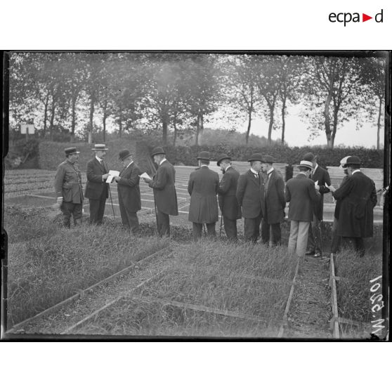 Versailles, M Clementel et Victor Boret visite la pépinnière nationale. [légende d'origine]