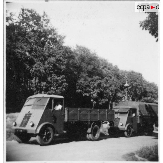 Divers modèles de camions Renault.<br>