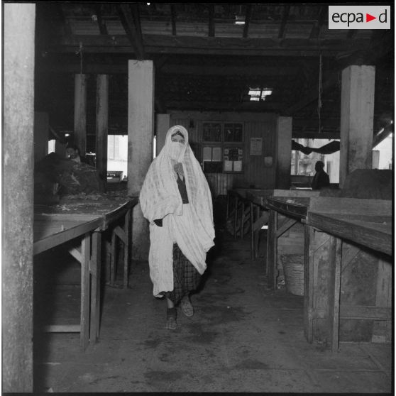 Vue du marché de la rue Randon, Alger.