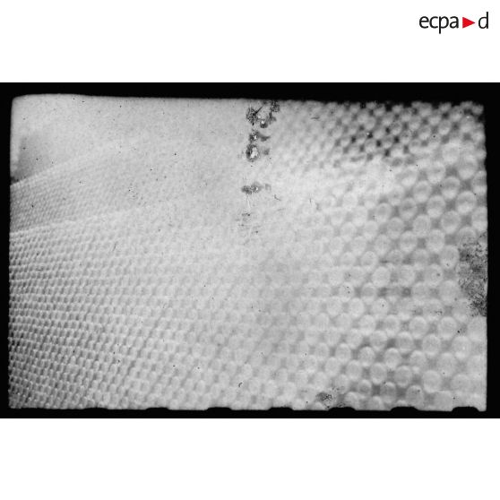 Les employés et les installations de l'usine des Brasseries et Glacières de l'Indochine (BGI) de Saigon. [description provisoire]