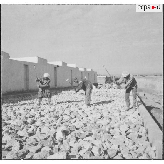 Aïn Temouchent.  Résorption de bidonvilles.