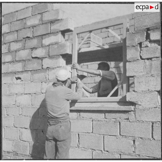 Aïn Temouchent. Pose d'une fenêtre par les "castors".
