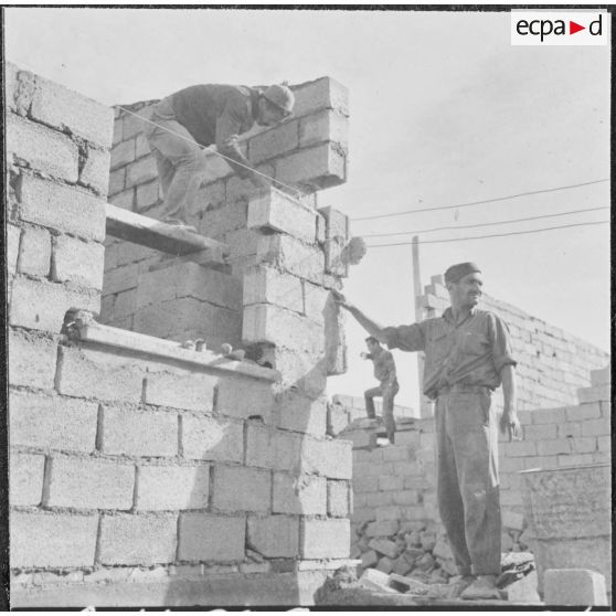 Aïn Temouchent. On procède à la finition des maisons, dans huit jours elles seront habitées.