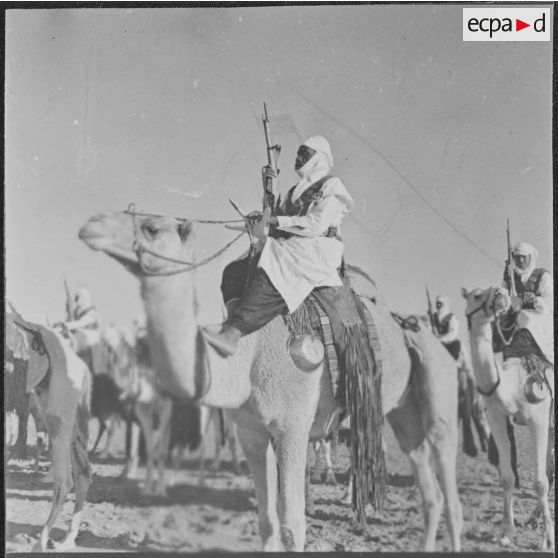 Ouargla. Compagnie méhariste montée pendant la cérémonie.
