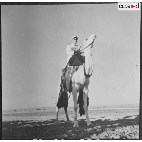 Ouargla. Portrait d'une autorité de la compagnie méhariste montée.