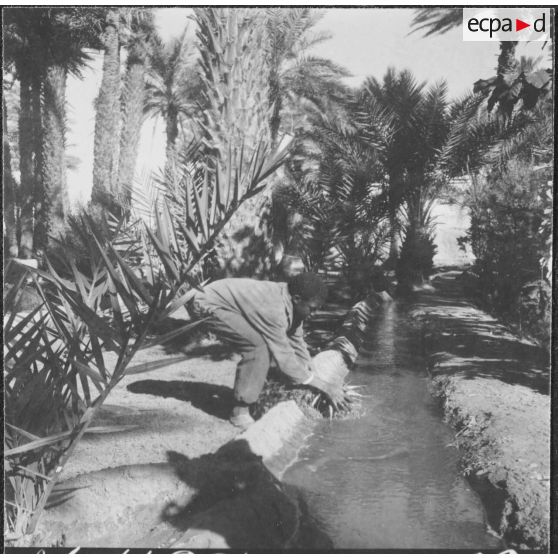 Taghit. Foyer agricole. Canaux d'irrigation.