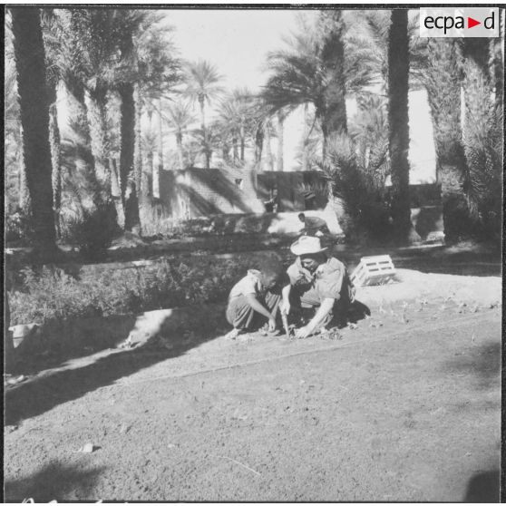 Taghit. Foyer agricole. Différents carrés de semences travaillés par les élèves sous la direction des militaires du contingent.