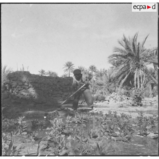 Taghit. Foyer agricole. Différents carrés de semences travaillés par les élèves sous la direction des militaires du contingent.