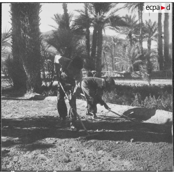 Taghit. Foyer agricole. Différents carrés de semences travaillés par les élèves sous la direction des militaires du contingent.