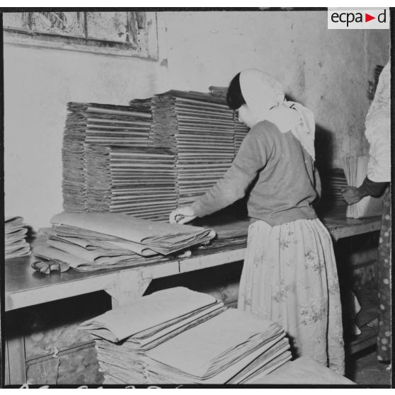 Aïn el Hadjar. Fabrique de papier. Pliage du papier par des femmes.