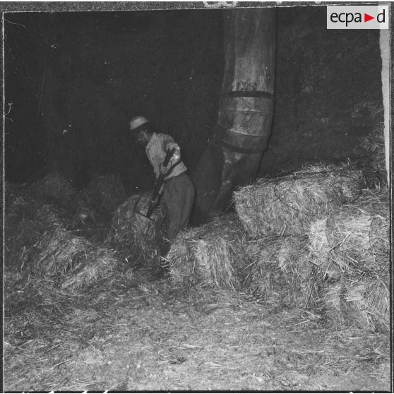 Aïn el Hadjar. Fabrique de papier. La girafe aspire la paille qui sera envoyée dans le four Huguenot.