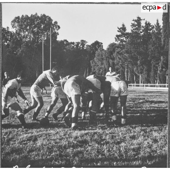 Maison Carrée. Finale de rugby. Mêlée à quelques mètres de la ligne de but.