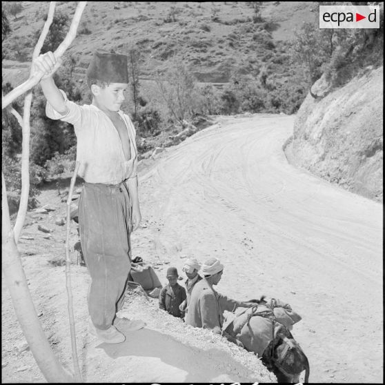 Jeune kabyle le long d'une route récemment construite par le 50e bataillon du génie (BG) à Ouled-El-Bahri.
