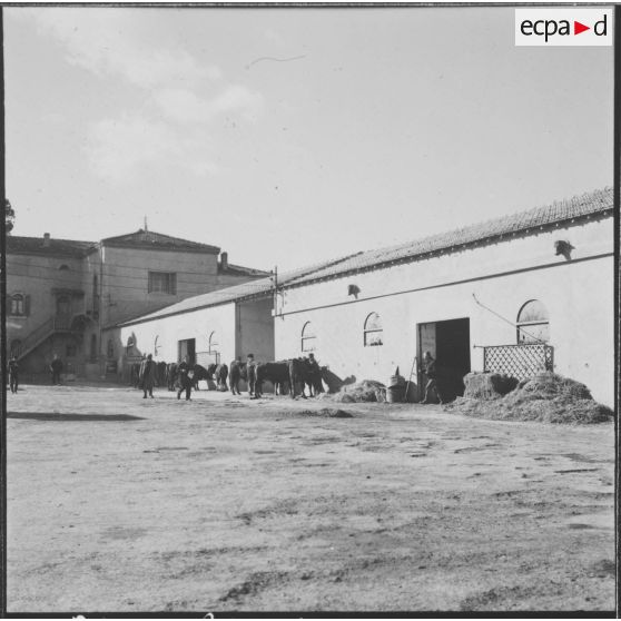Intérieur de la ferme expérimentale du Kroub.