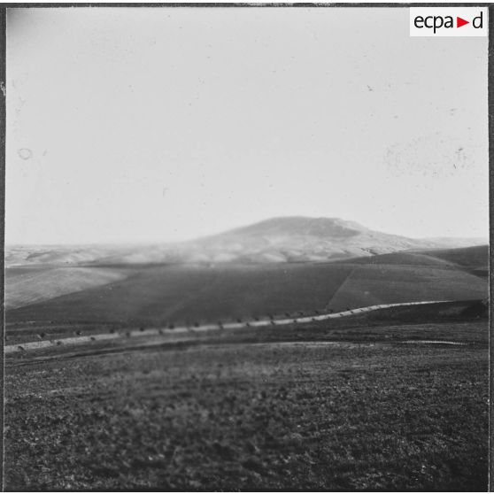 Ouled Zid. Vue générale des terrains cultivés par la Défense et Restauration des sols (DRS).