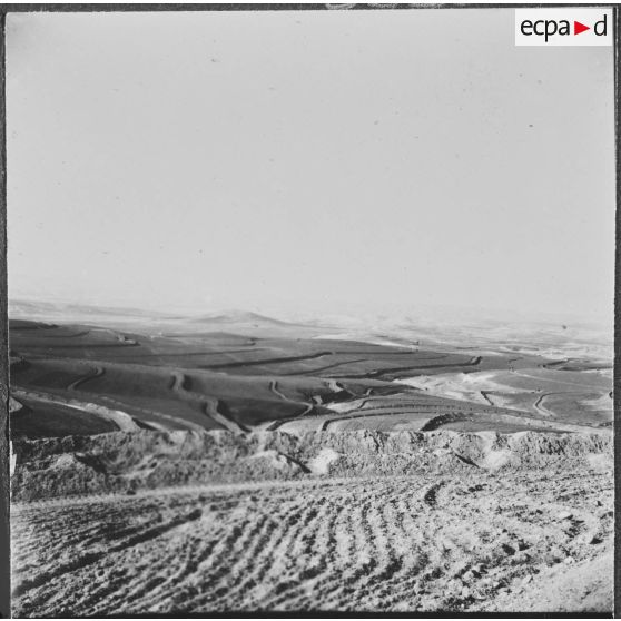 Ouled Zid. Vue générale des terrains cultivés par la Défense et Restauration des sols (DRS).