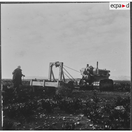 Ouled Zid. Les bulldozers de la Défense et Restauration des sols (DRS) en plein travail.