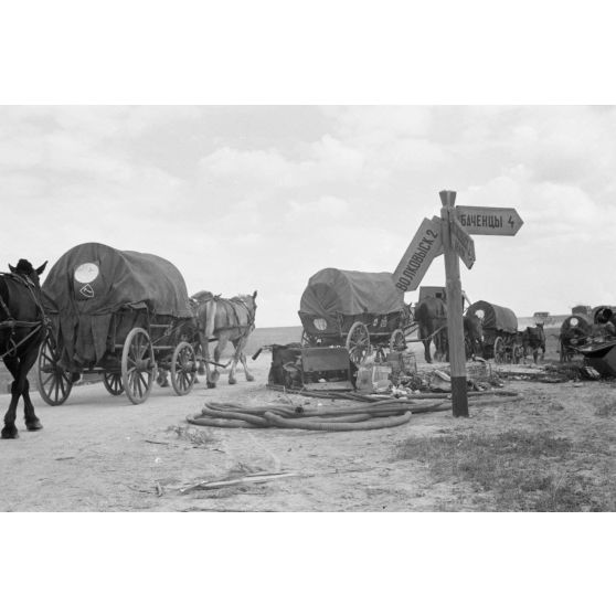 Les véhicules hippomobiles allemands de la 137. infanterie division progressent .