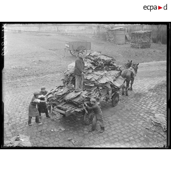 Bagneux, 36 rue d'Orléans, tannerie et usine des cuirs Aboucaya. Chargement des cuirs. [légende d'origine]