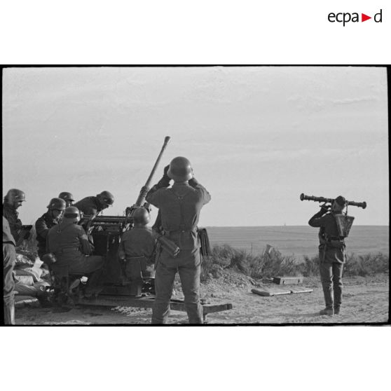 Les servants d'une pièce de DCA de 3,7-cm Flak 18.