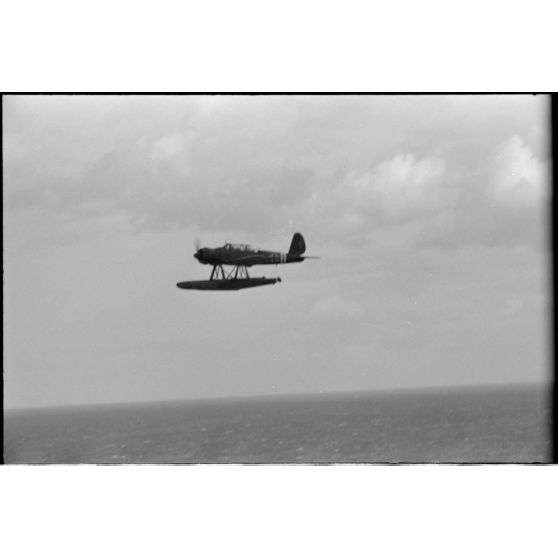Un hydravion Arado Ar-196 du 2e groupe du Seeaufklärungsgruppe 125 (2./SAGr.125).
