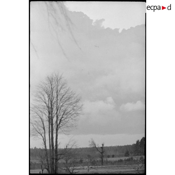 Paysage qui s'offre aux artilleurs allemands du schwere Panzer Abteilung 519.