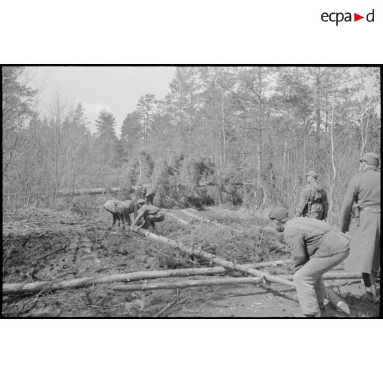 Des ouvriers ou des prisonniers sont employés par les Allemands pour dégager des passages dans la forêt.