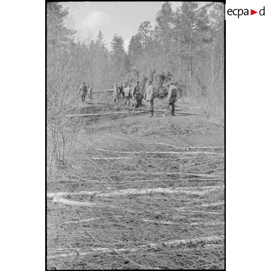 Des ouvriers ou des prisonniers sont employés par les Allemands pour dégager des passages dans la forêt.