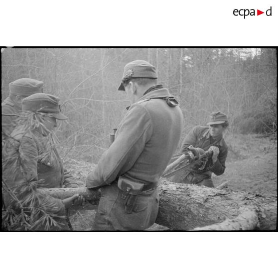 Une scie est utilisée pour couper les troncs.