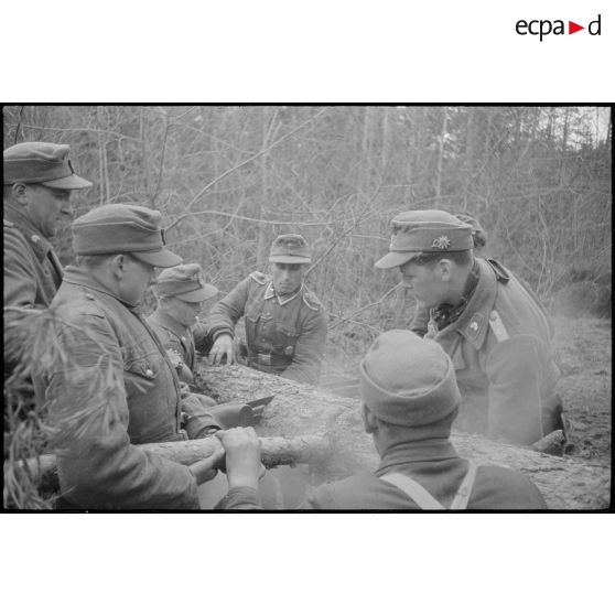 Une scie est utilisée pour couper les troncs.