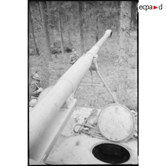 Parfois le châssis du Nashorn suffit pour faire plier les arbres.