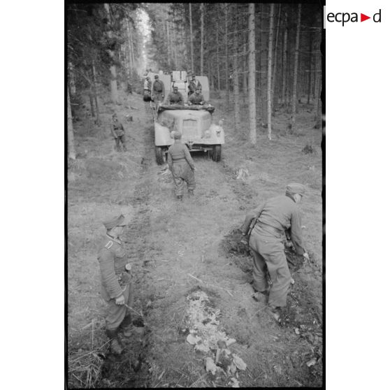 La traversée d'une forêt par des canons automoteurs Nashorn du 519e bataillon lourd de chasseurs de chars (Schwere Panzerjäger Abteilung 519).