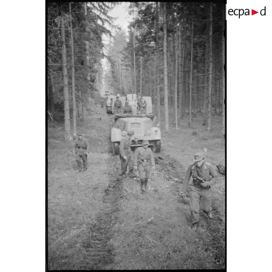La traversée d'une forêt par des canons automoteurs Nashorn du 519e bataillon lourd de chasseurs de chars (Schwere Panzerjäger Abteilung 519).