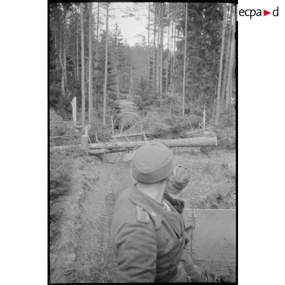 Des arbres ont été volontairement coupés par la résistance pour interdire la progression des véhicules allemandes, ici des Nashorn du Schwere Panzer Abteilung 519.