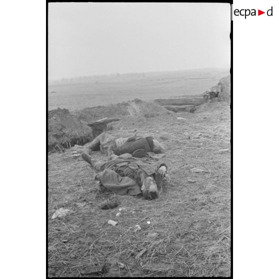 Cadavres de résistants (partisans).