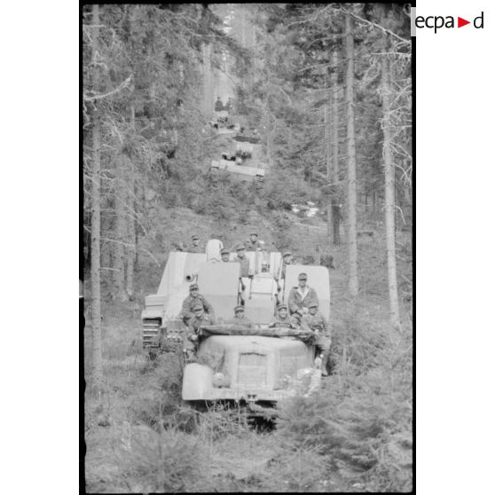 Au nord de Lepel, des canons automoteurs Sd.kfz.164 Nashorn du 519e bataillon lourd de chasseurs de chars (Schwere Panzerjäger Abteilung 519) soutiennent les fantassins allemands dans leur lutte contre les partisans.
