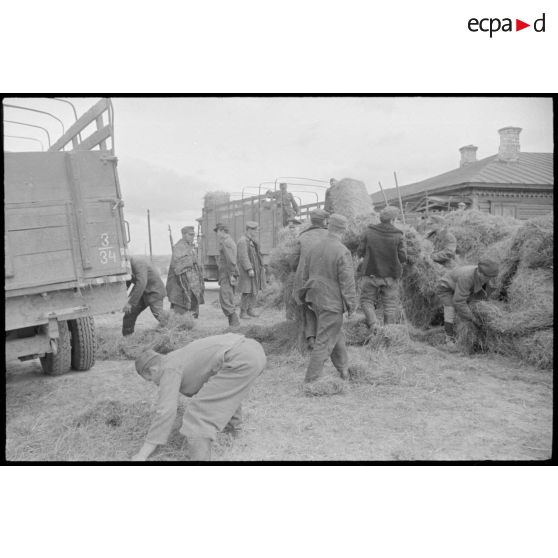 Chargement de foin pour la confection de matelas.